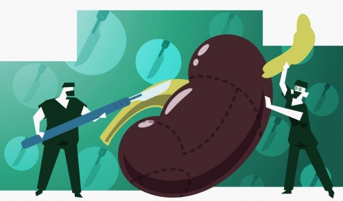 補腎養(yǎng)腎，玉強龍給大家講解下怎樣養(yǎng)生