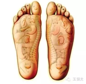 1517362461683741.jpg 640.webp.jpg