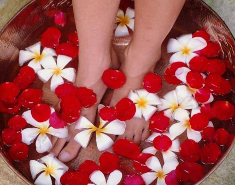 足療會所必備的兩大養(yǎng)生專家.png 足療會所必備的兩大養(yǎng)生專家.png